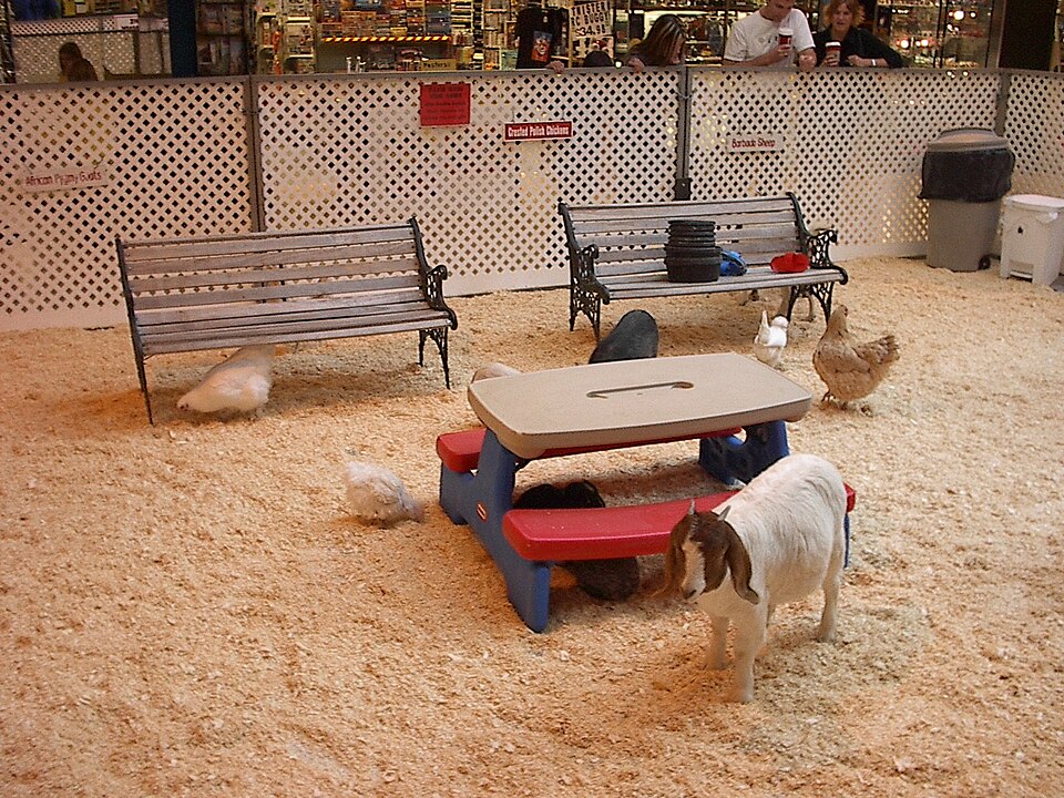 Kinderboerderij Beestenboetje